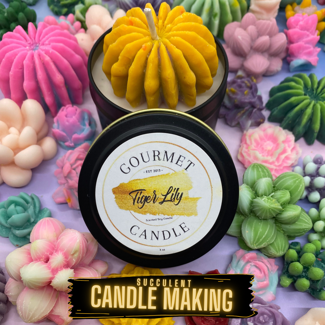 Succulent Terrarium Soy Candle Making Workshop (Live, Virtual Candle-Making Workshop with Supplies Included)