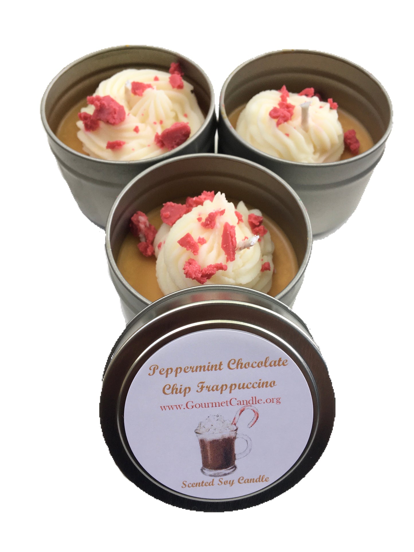 Peppermint Chocolate Chip Frappuccino Candle - NEW
