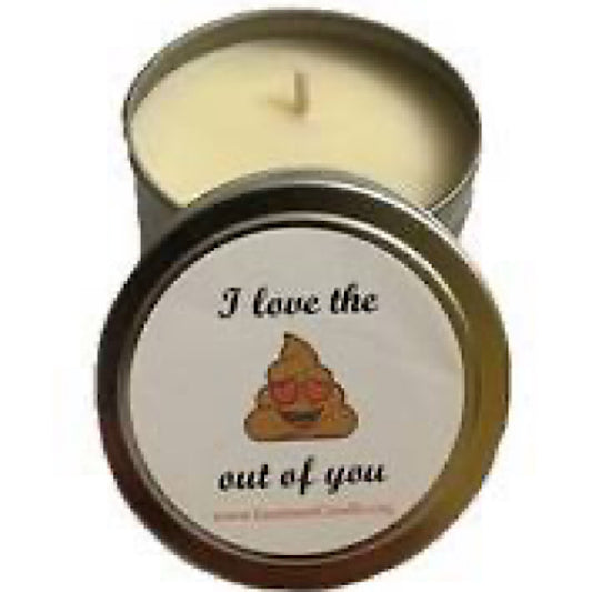 I Love The Shit Out of You Candle